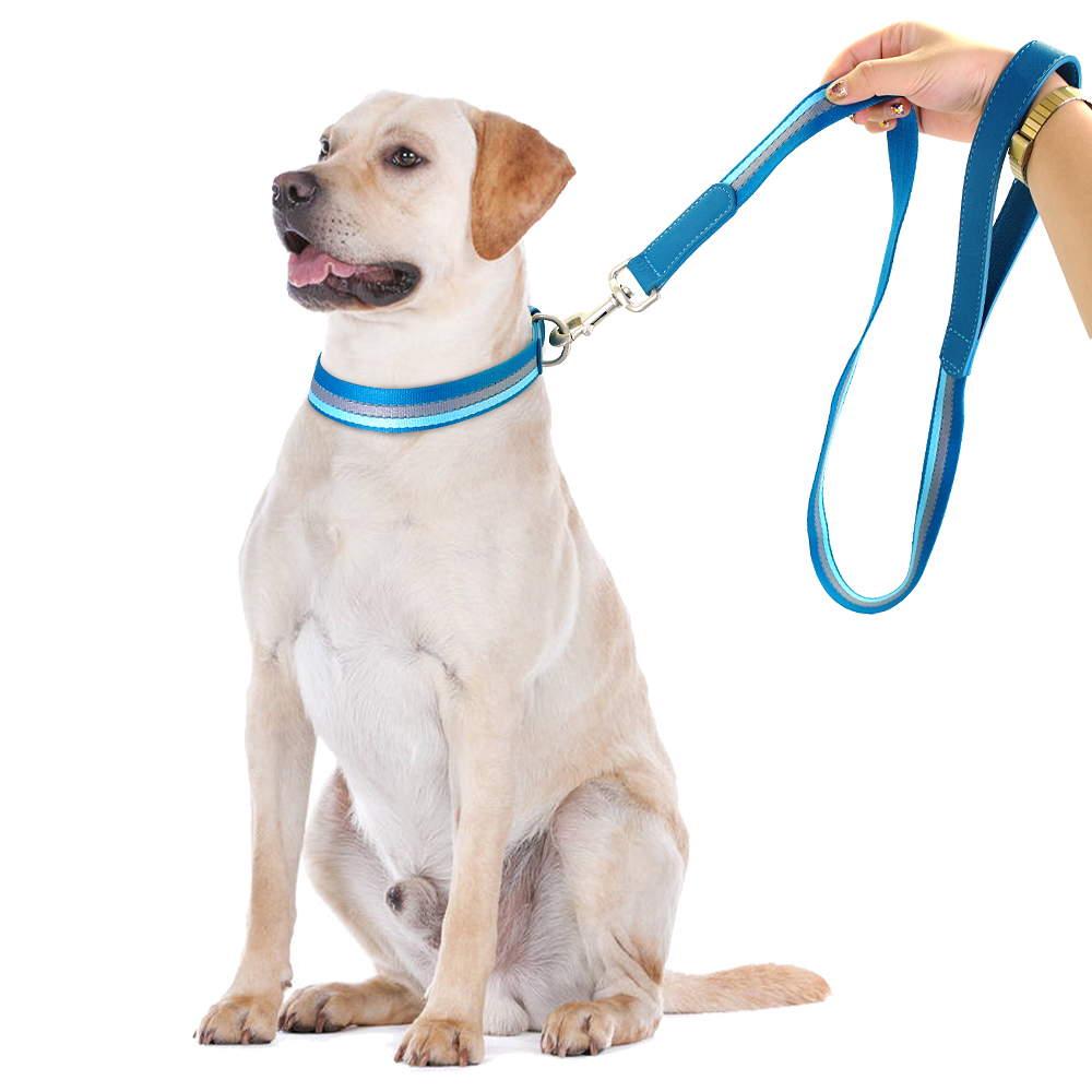 Nylon Halsband En Riem Set Verstelbare Reflecterende Strip Halsbanden En Huisdier Wandelen Lead Leash Voor Small Medium Honden pitbull