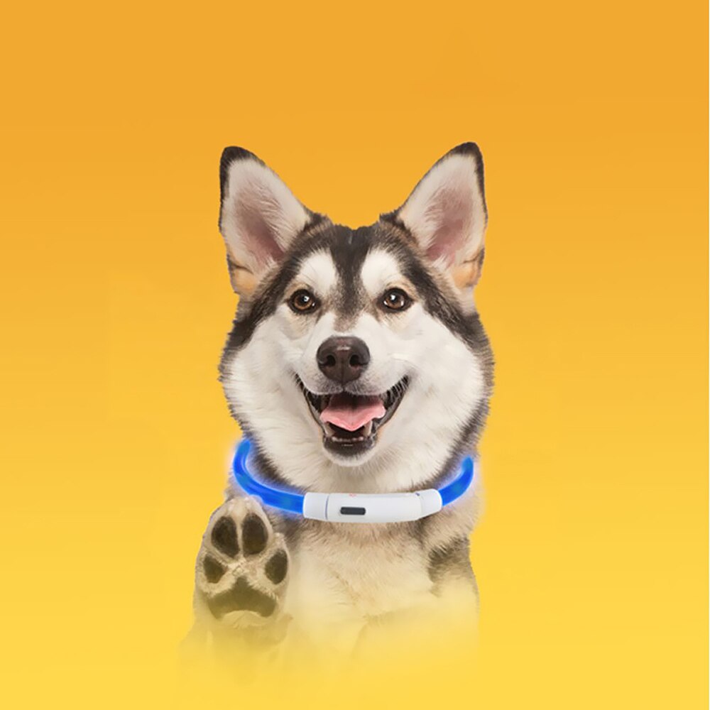 NICEYARD-Collar luminoso LED Usb para perro, recargable, nocturna, intermitente de seguridad, brillante