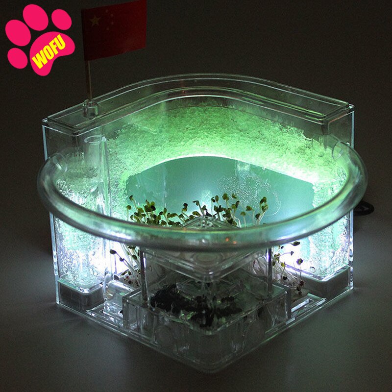 WOFUWOFU Lnsect Hotel，Ant Farm，Ant Glow Ocean View Villa Big Ants House Ant Nest Villa Insect Pet Anthill