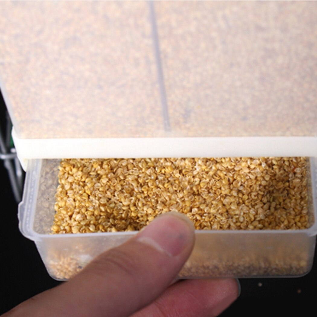 1PC Automatic Birds Feeder Poultry Feeding Tool Fodder Food Container Splashproof Storage For Pigeon Parrot Chicken