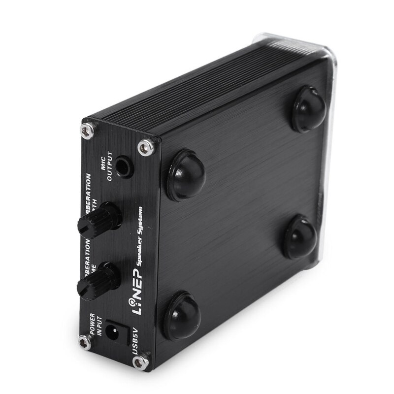 Lynepauaio a Bobina mobile Microfono pre-Amplificatore, Amplificatore doppio-canale Microfono, che È Adatto con Funzione di Interruttore di Riverbero UN