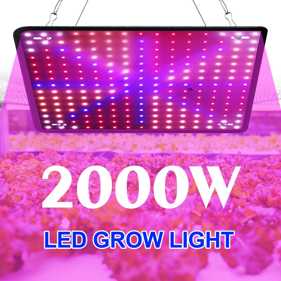 Grow Light LED Plants Growth Lamp Full Spectrum Strip Light Phytolamp Red Blue Lighting Seedling for Flower Succulent Vegetable