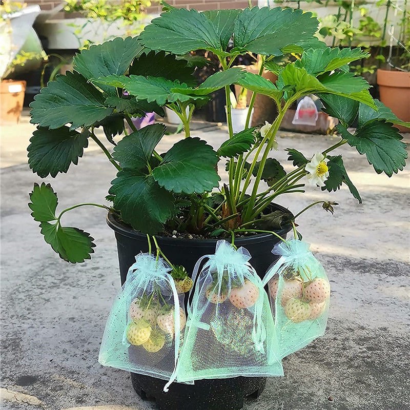 1-100Pcs Bundle Mouth Organza Drawstring Garden Bird Proof Net Fruit Protection Bag Mesh Packaging Bags Gardening Tools