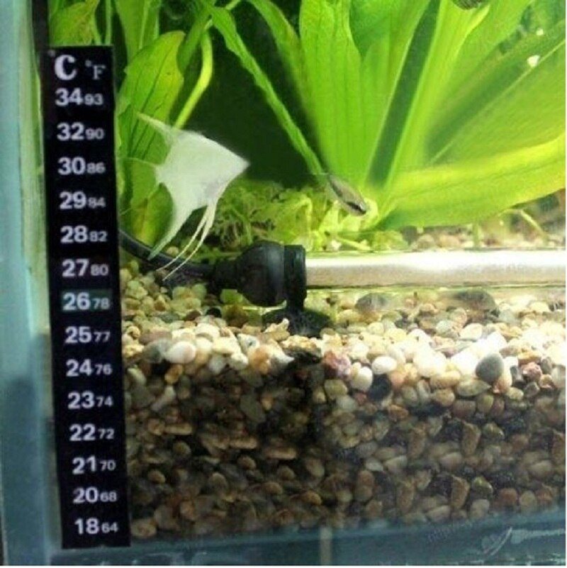 Báscula Dual, termómetro líquido para tanque de peces de 18 grados y 34 grados, pegatina de temperatura, adhesivo Digital para Tira adhesiva LCD