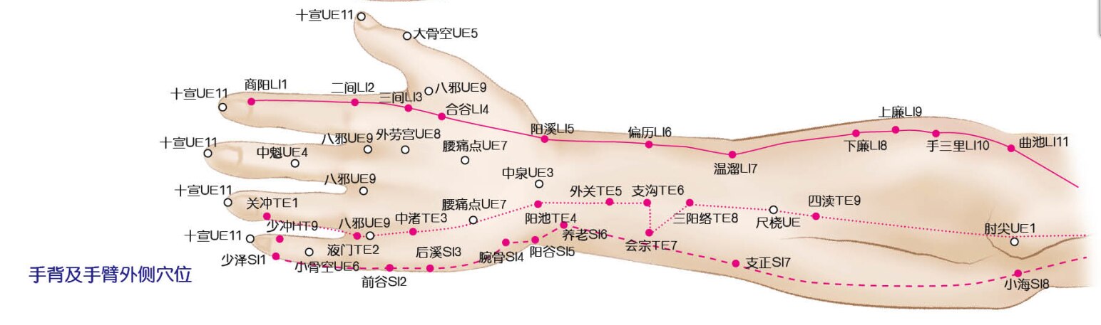 Standard fodreflekterende zoner og meridianpunkter på menneskelige vægkort, fodmassage
