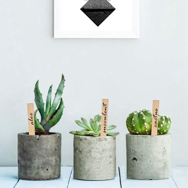 60 verpakkingen van  of 6 x 0.8 inch plantenlabels van bamboe voor de tuin, kwekerij of bloemen, groenten, zaailingen en zaden