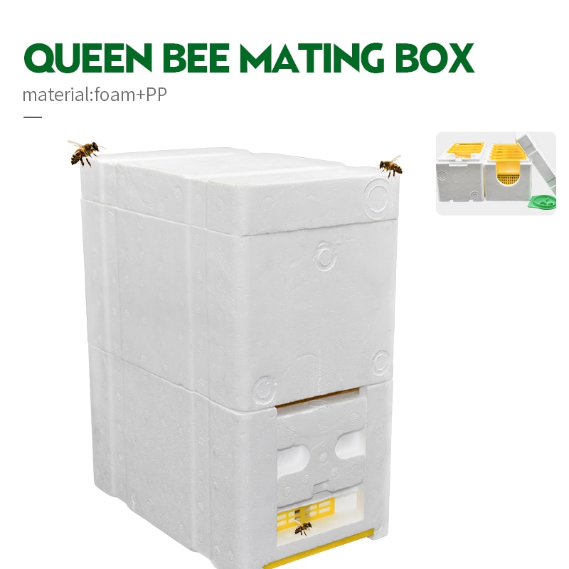 Beehive Hive Box 2 layer Harvest Queen Pollination Beekeeping For Bee Mating Copulation Queen Reserve Beekeeping Tool