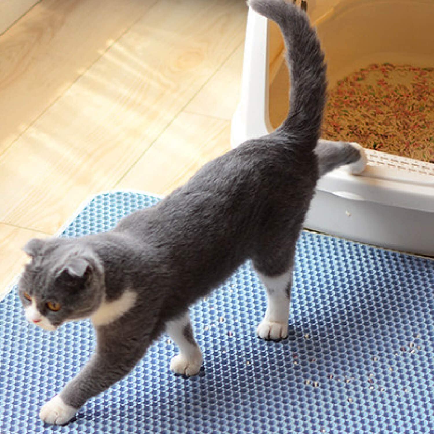 6 Kleuren Nest Mat Huisdier Tapijt Kat Zand Kattenbak Mat Katten Waterdichte Matten Voor Huisdieren Katten Trapper Opvouwbare Eva antislipmatten