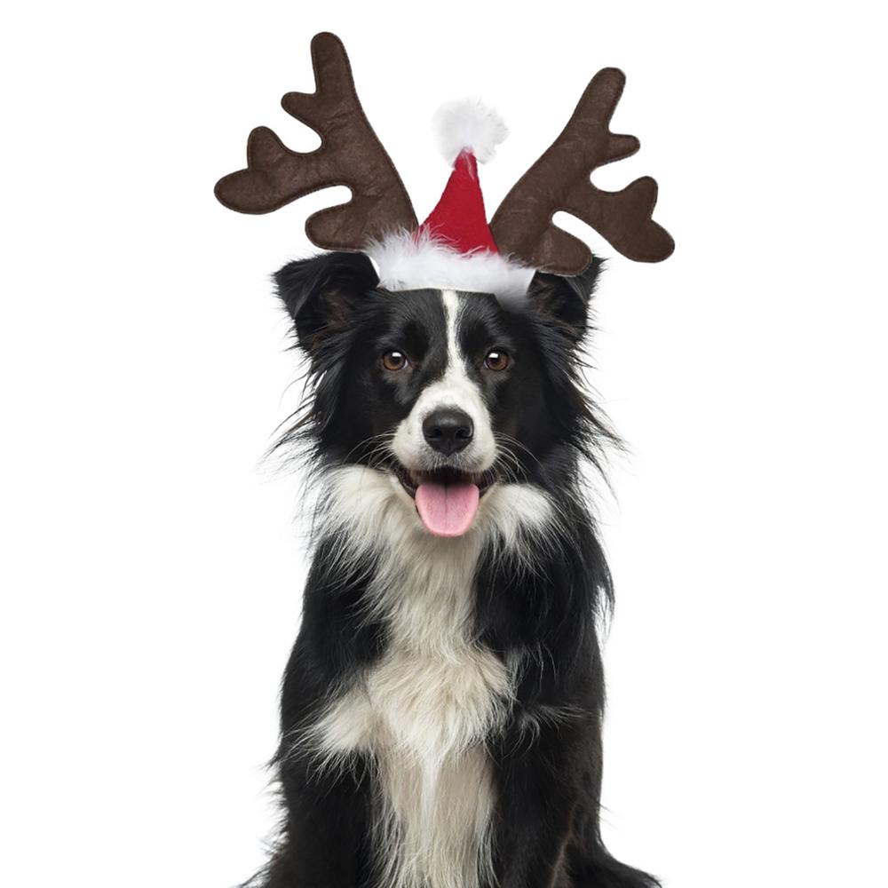 2 stk hund jul rensdyr gevir pandebånd med santa hat justerbar elastisk rem pandebånd klassisk hovedbeklædning fest kæledyr kostume