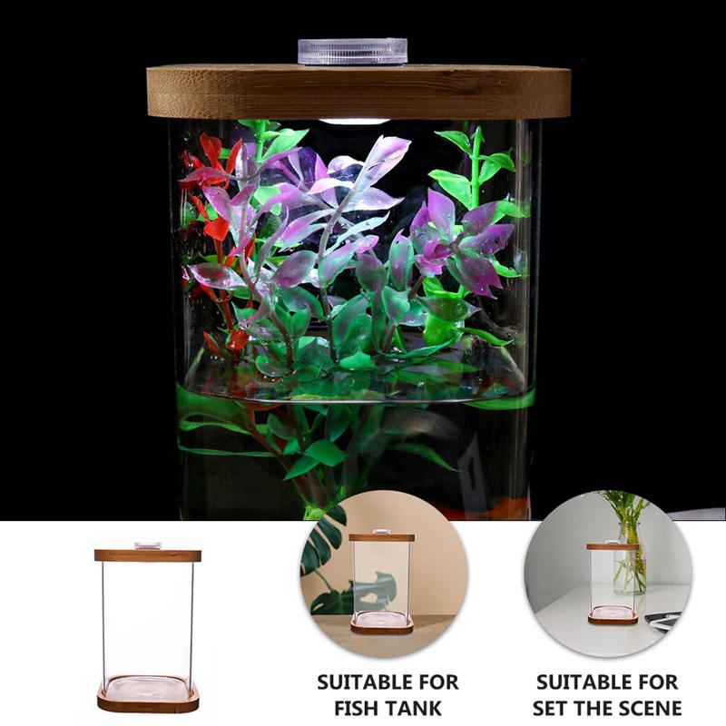 1pc Mini Fisch Panzer Platz Transparente Bambus Basis Mini Aquarium Kleine Fische Panzer