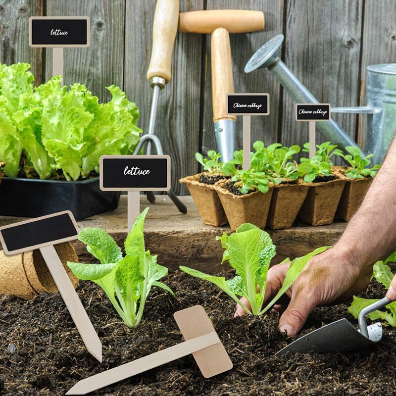 10Pcs Mini Blackboard Wooden Chalkboard Plant Labels Markers For Flower Pot Seed Potted Herbs Vegetables
