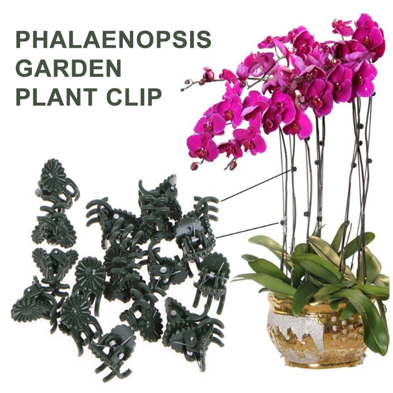 50PCS Garden Plant Support Spring Clips Plastic Tree Shrub Tie Cane Farm Clip Hanging Trellis Vine Connects Plants