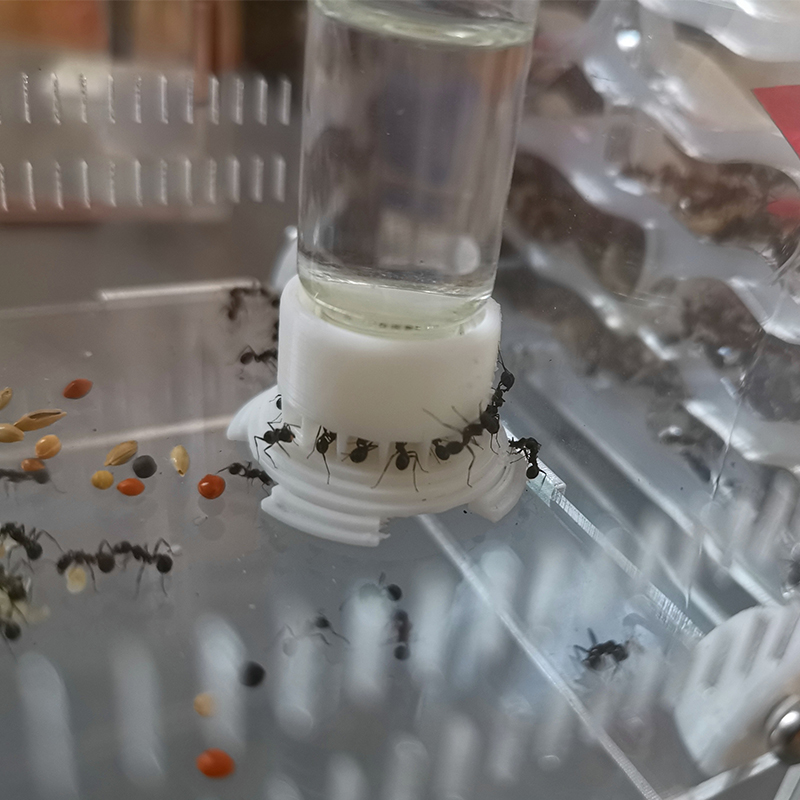 Ant Farm Water Voeden Gebied Water Kom Voor Ant Anthill Ant Nest Grote Capaciteit Water Feeder Mier Huis Drinken Fles workshop