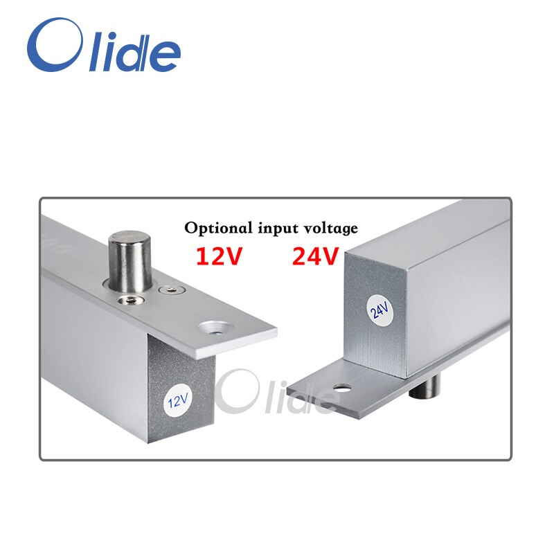 DC12V/DC24V Deur Elektrisch Slot Voor Toegangscontrole Systeem Lock Vertragingstijd Is Instelbaar, Auto Deur Elektrisch Slot