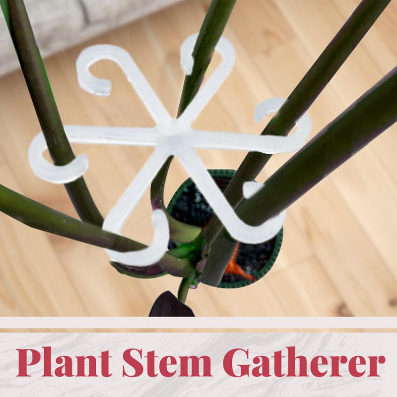 Stem Ondersteuning Alocasia Monstera Leaf Ondersteunt 4 Stuks Wijnstok Ondersteuning Clips Voor Klimplanten Om Rechtop Te Groeien En Gezonder Te Maken
