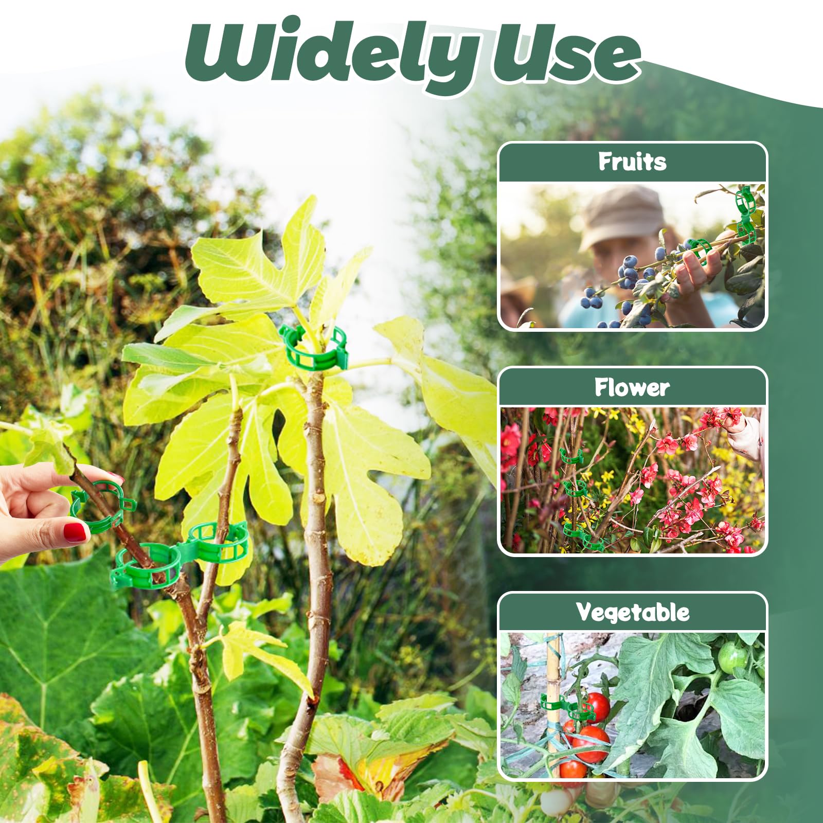 Clips de soporte para plantas, clips para tomate para enrejado de cuerdas, clips de flejado de vid de uva para red de jardín, soporte para plantas trepadoras