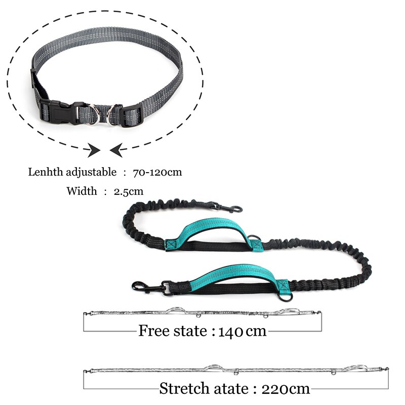 Pet Dog Running Leashes Reflective Traction Rope Belt Elastic Hands Freely Jogging Pull Dog Leash for Medium Large Dog Supplies