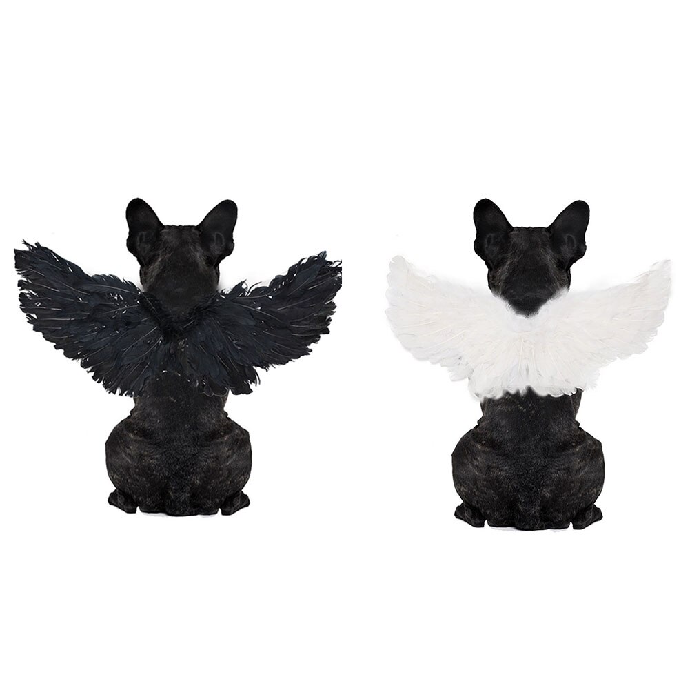 animale domestico cane gatto pipistrello ragno Cosplay puntello Halloween pipistrello fantasia vestire con Cappuccio costume bel Vestito Di Natale Vestiti Decorativi