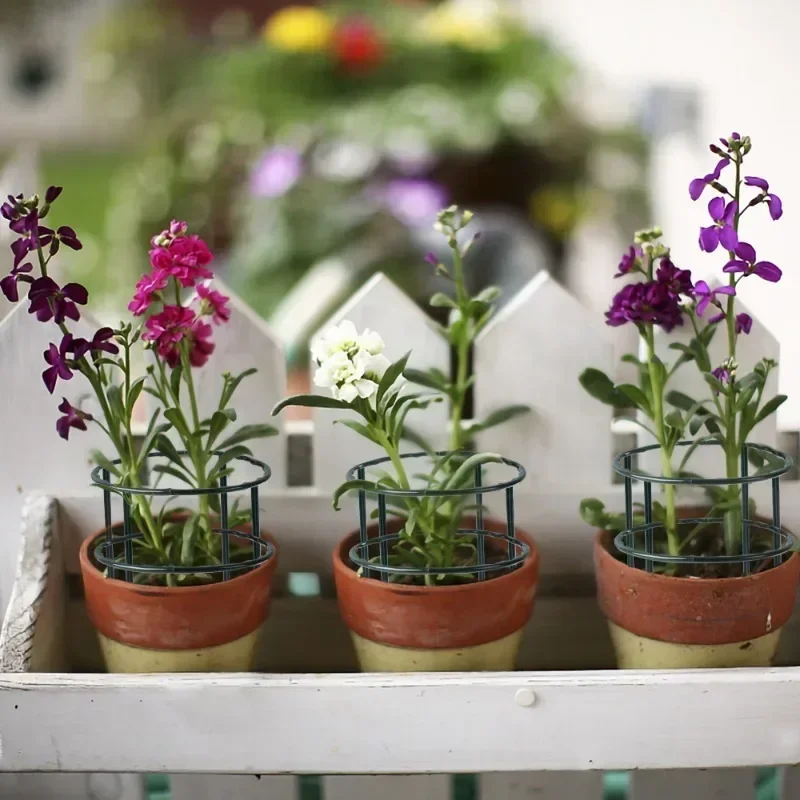 Soporte de plástico para plantas, marco de pila, arreglo de invernadero, varilla fija semicircular, soporte de escalada para plantas y flores de interior, 1/40 Uds.