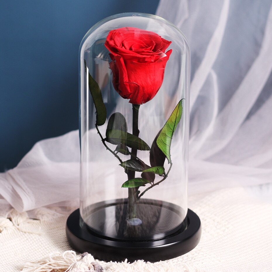 Torkade blommor konserverade rosor i glasskåpa med nattljus ornament bröllop alla hjärtans dag jul år heminredning: Röd