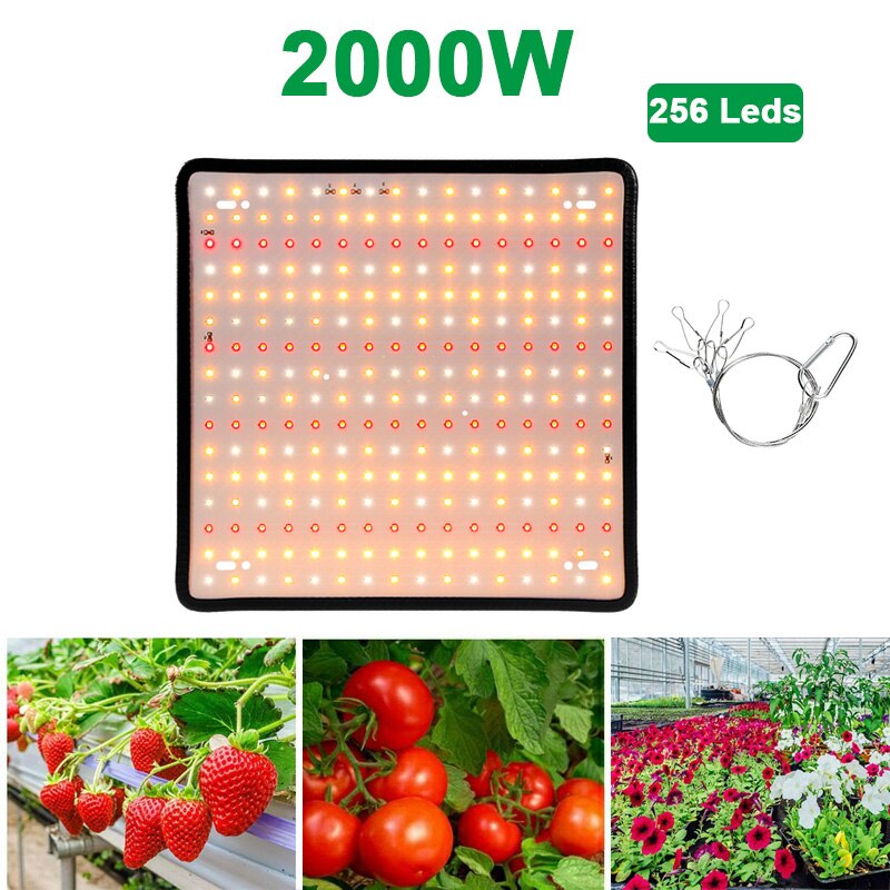 2000w crescer luz led espectro completo lâmpada 1500w 1000 led planta lâmpada estufas indoor phyto lâmpada crescer tenda eua ue reino unido plug: Type 4-2000W-256Leds / EU Plug