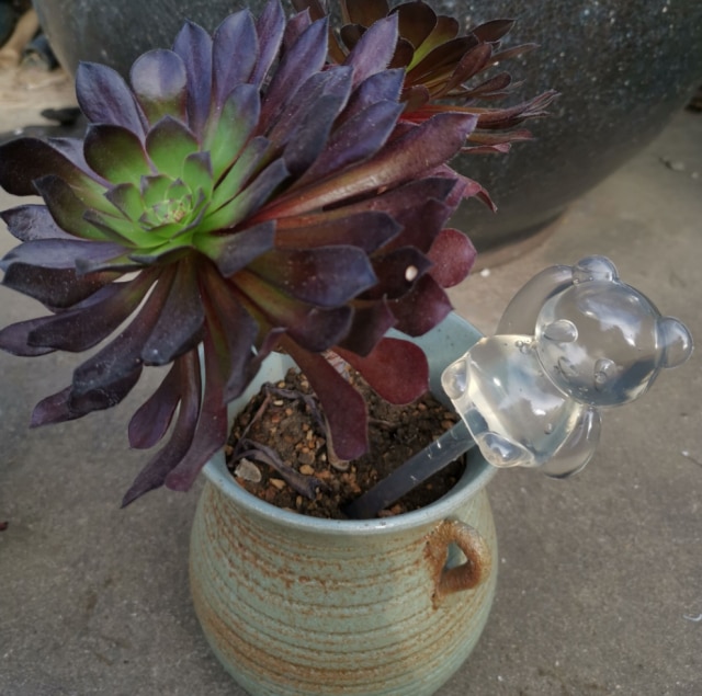 350mL Plant Life Support Drip Irrigation Home/Garden Plant Automatic Self Watering System Equipment for Plant Water: Panda