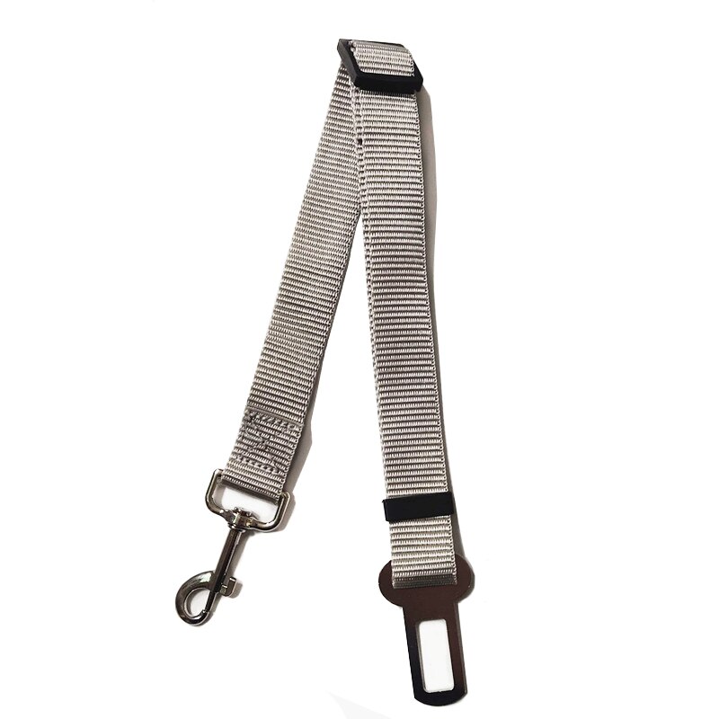 Huisdier Aangelijnd Kat Halsband Trekkabel Autogordel Intrekbare Nylon Materiaal Sterke Slijtvaste Huisdier Accessoires