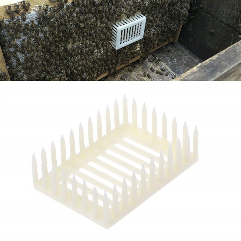 Gaiolas plásticas para criação de abelhas, 2 peças, abelhas tipo agulha, gaiola de célula, sala, apicultura, conjunto de suprimentos, equipamento novo