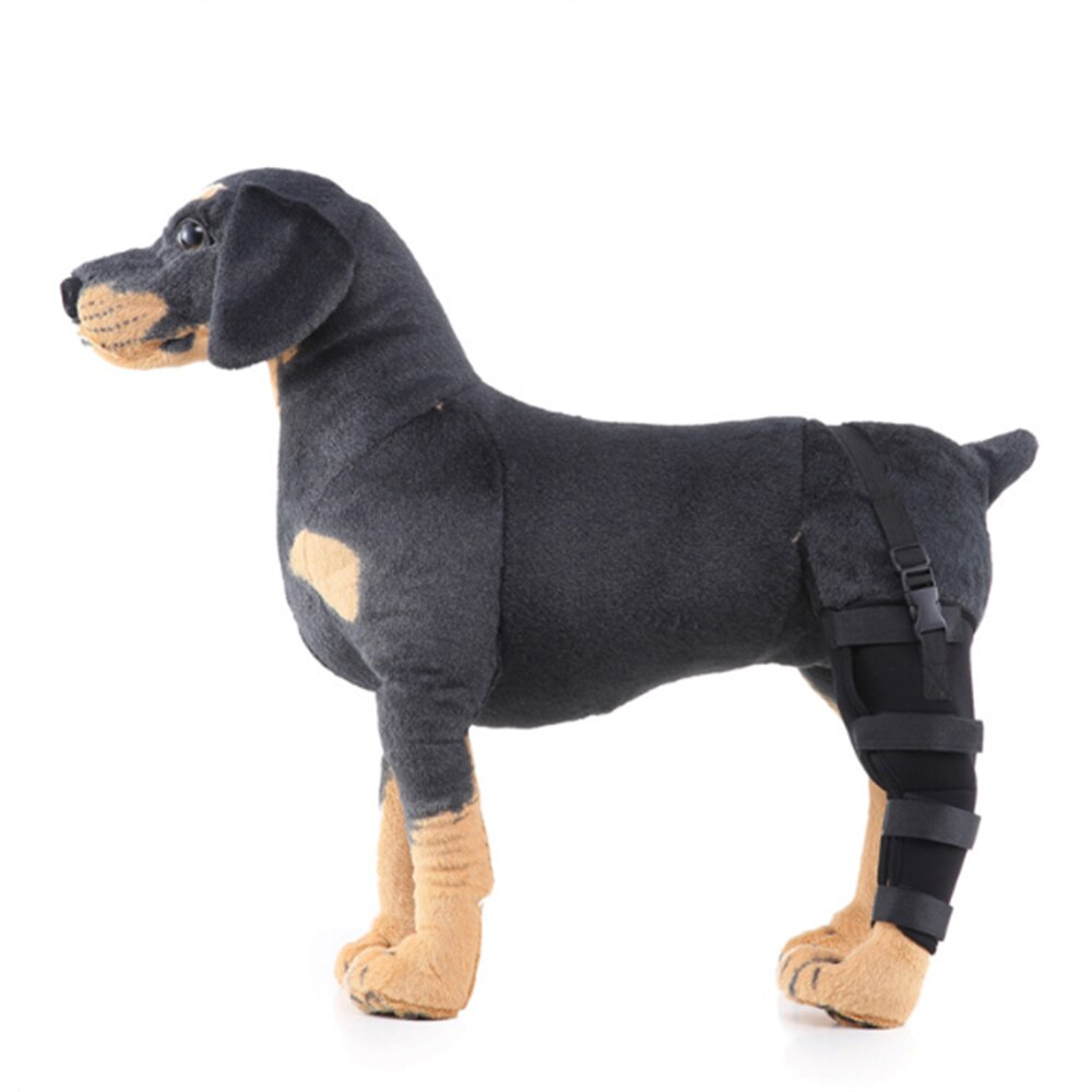 Kæledyr hund benbøjle højre / venstre bagben knæbøjle bøjle bandager stropper beskyttelse hund fælles bandage wrap hund opsving forsyninger