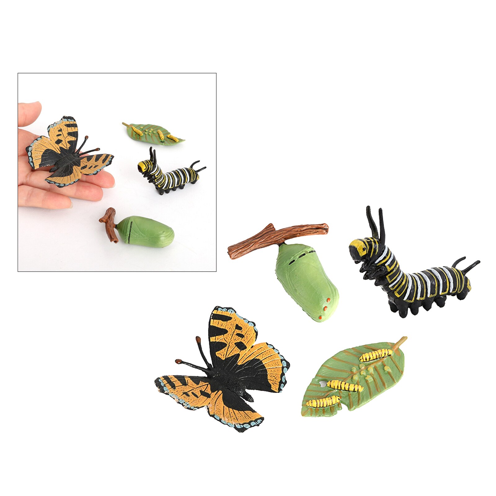 4 Piece Life Cycle Figures, Insects Plastic Butterfly Toy Figure - Authentic Hand Painted Model