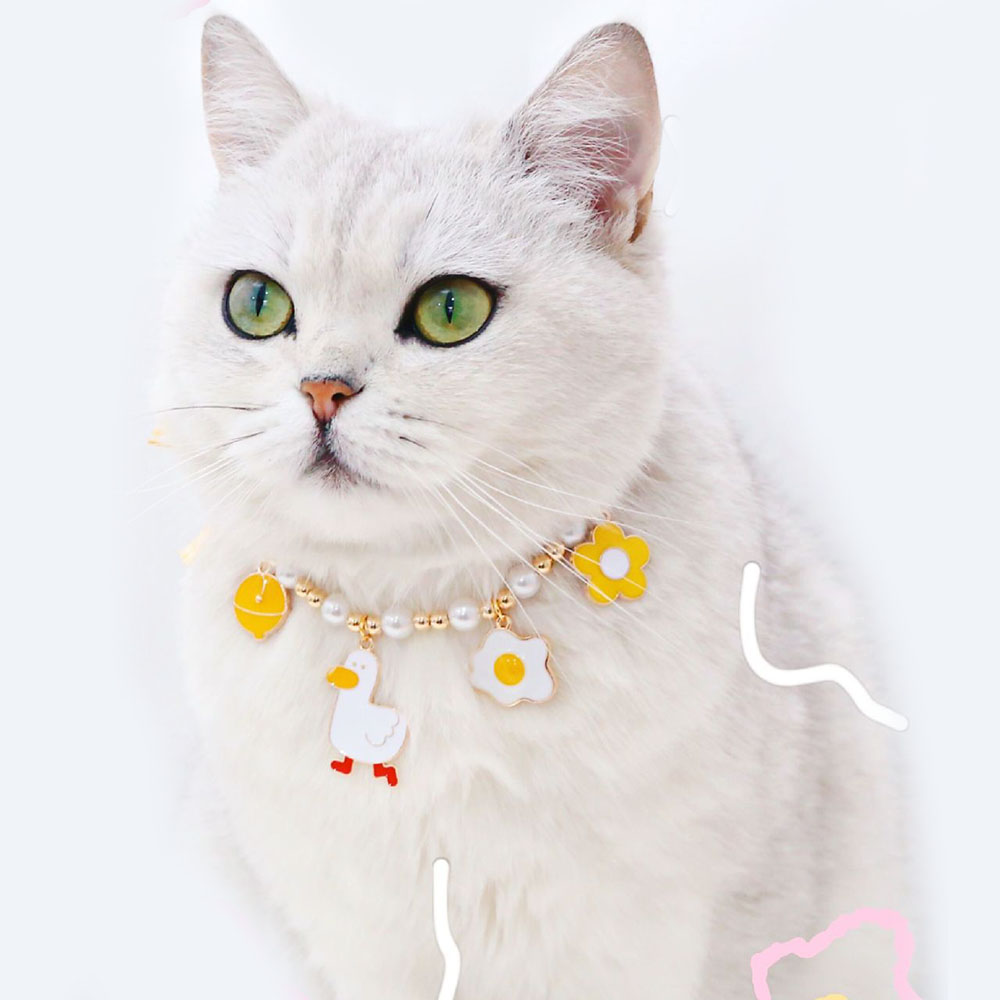 Cane da compagnia gatto perle collana collare accessori Bling piccolo cane gatto gioielli per cucciolo femminile Chihuahua Yorkie coniglio fatto a mano