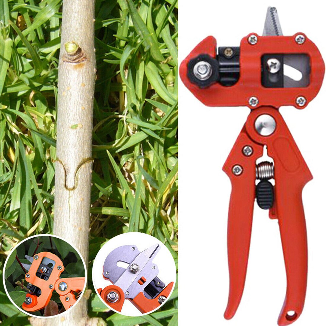 Pruning Cutting Grafting Shears Tree Pruning shears Household Garden shears garden tools Boxes