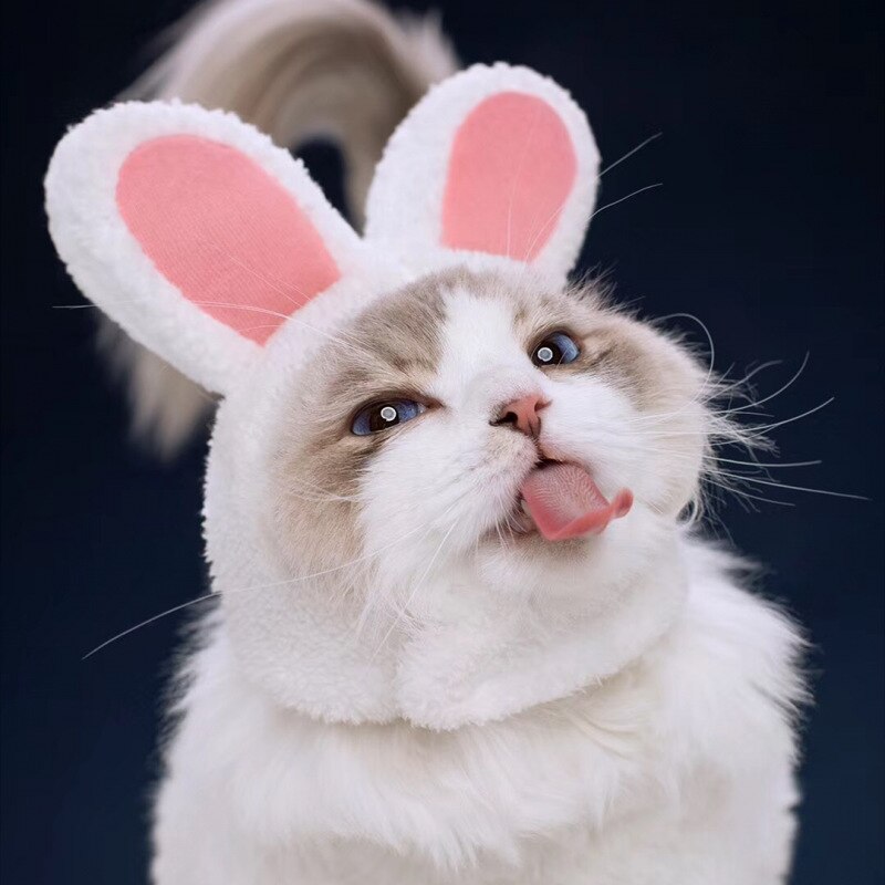 Gorro con orejas de conejo para gatos y perros pequeños, gorro de felpa con orejas de conejo, para Pascua, productos para mascotas, 2022