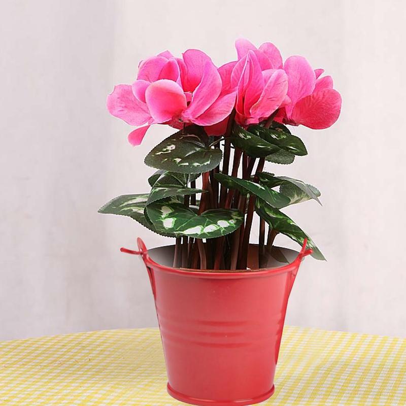 Small Plastic Bucket Tinplate Mini Keg Barrel Outdoor Bathroom Watering Flower Garden Bucket Water Kitchen Household