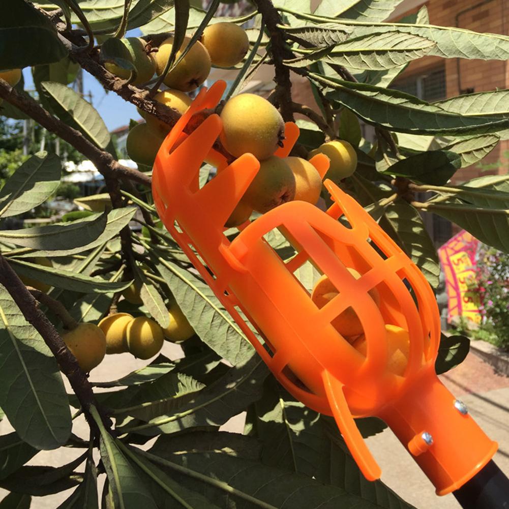 1.5M Fruits Picker Portable Fruits Catcher Harvester With Nonslip Handle Detachable Pole For Peach Mango Jujube