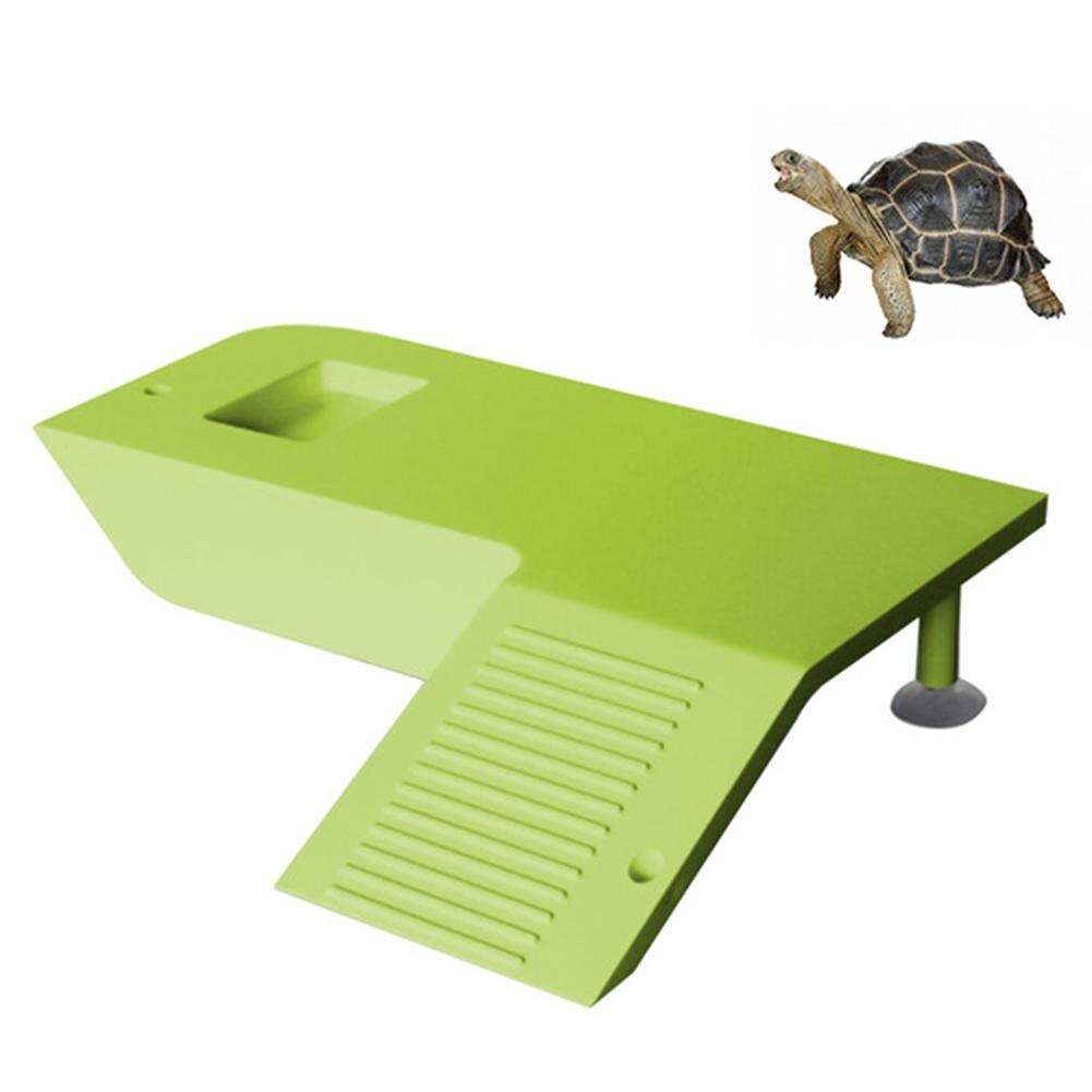 Turtle Frog Floating Island Aquatic Pet Reptile Su... – Grandado