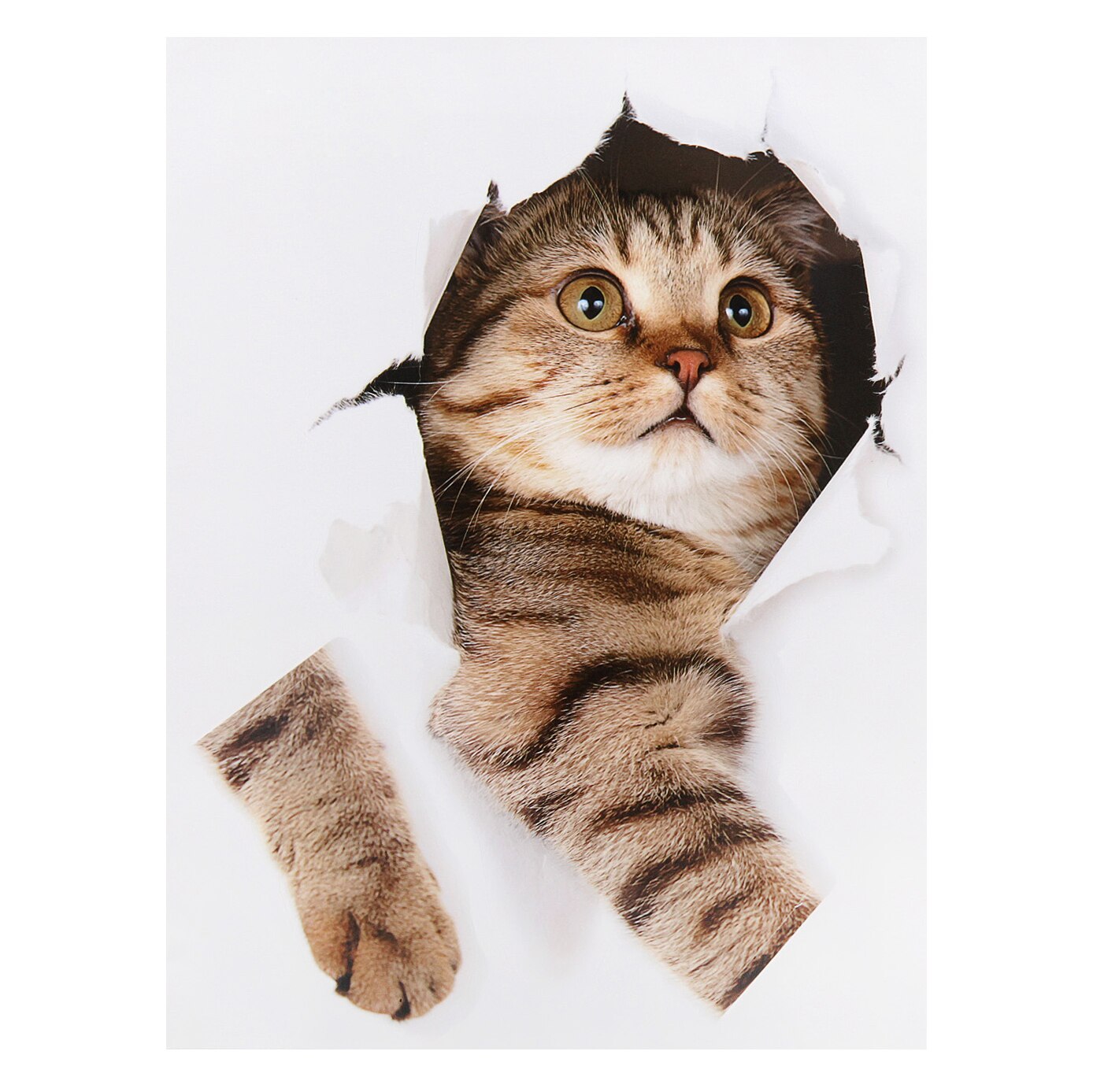 3D Cute Cat Stickers Car Home Bedroom Toilet Kitten Broken Wall Decor Sticker Vinyl Decal Realistic Funny Anima Stickers: 05