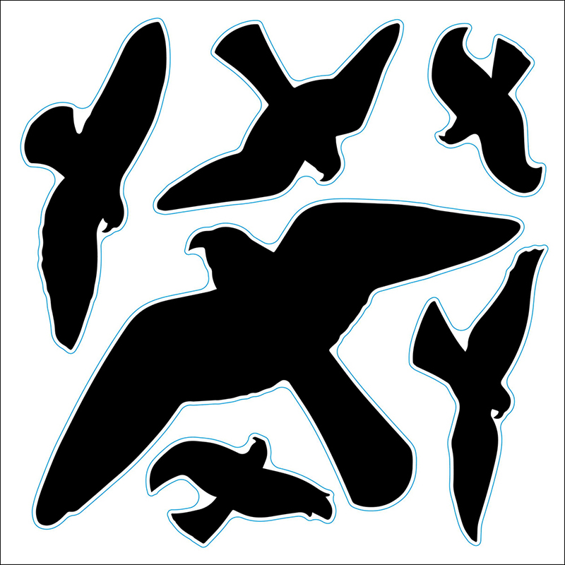 Protection de vitre contre les coups d'oiseaux, Silhouette d'oiseau de pigeon, Film répulsif dissuasif