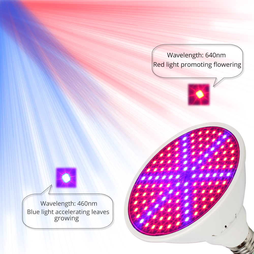 Neue voll Spektrum E27 60 126 200 Leds verrotten Blau LED wachsen Lampen für Blüte und Hydrokultur Pflanzen drinnen draussen Wachsen Licht