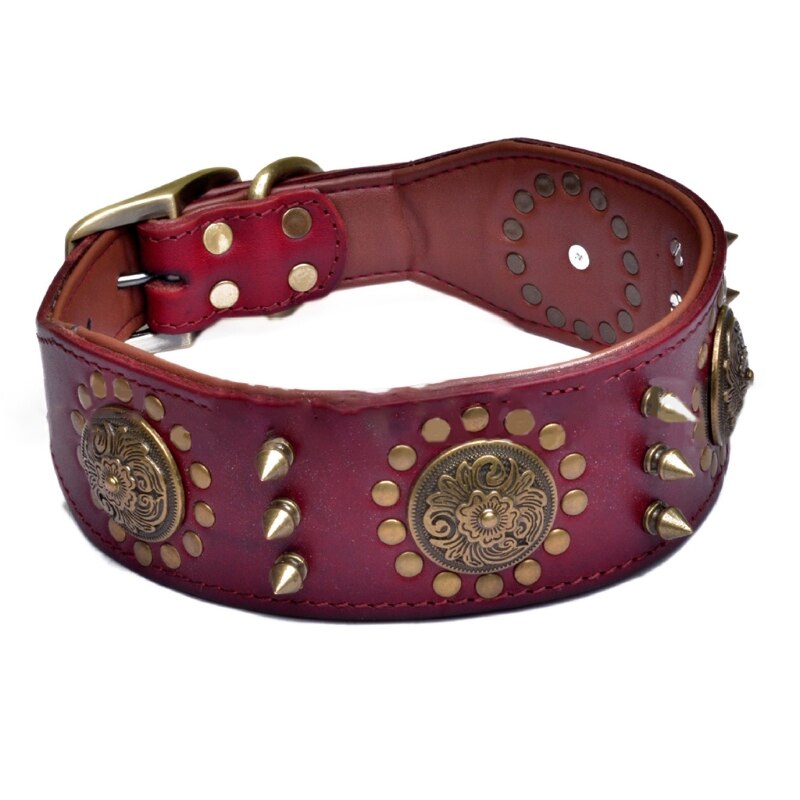 Adjustable Stylish Leather Dog Collar Studded Soft Padded Inside Brown Leather Y5GB