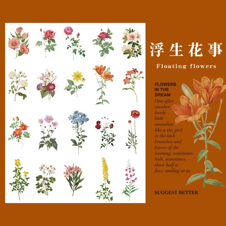 40Pcs Natuur Fotoboek Huisdier Grote Deco Stickers Plant Bloem Blad Transparante Kogel Journaling Accessoires Esthetische Stickers: G