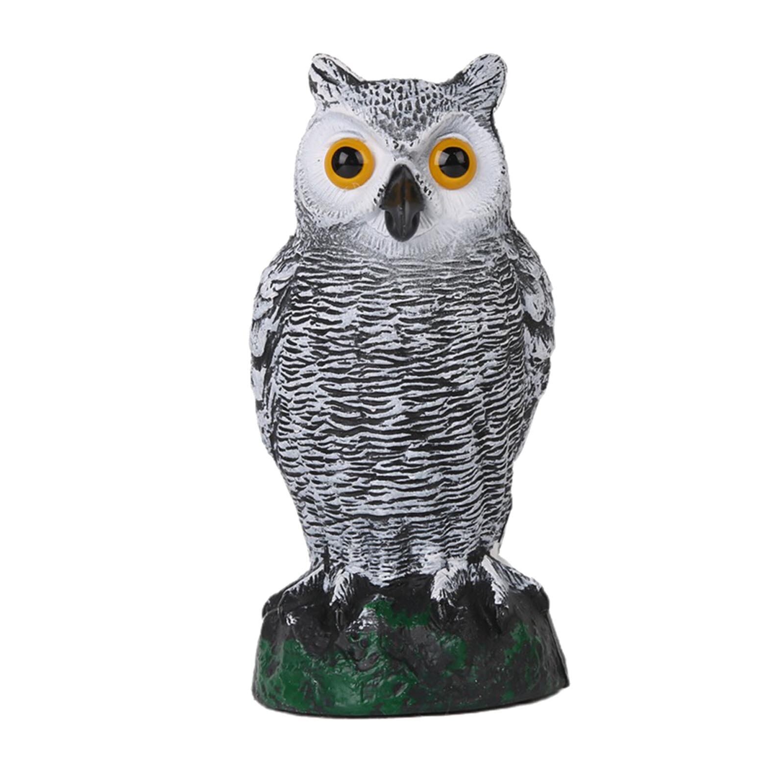 Plastic Uil Is Gebruikt Als Een Natuurlijke Vijandige Pest Repellent Voor Outdoor Tuinen Qw: B