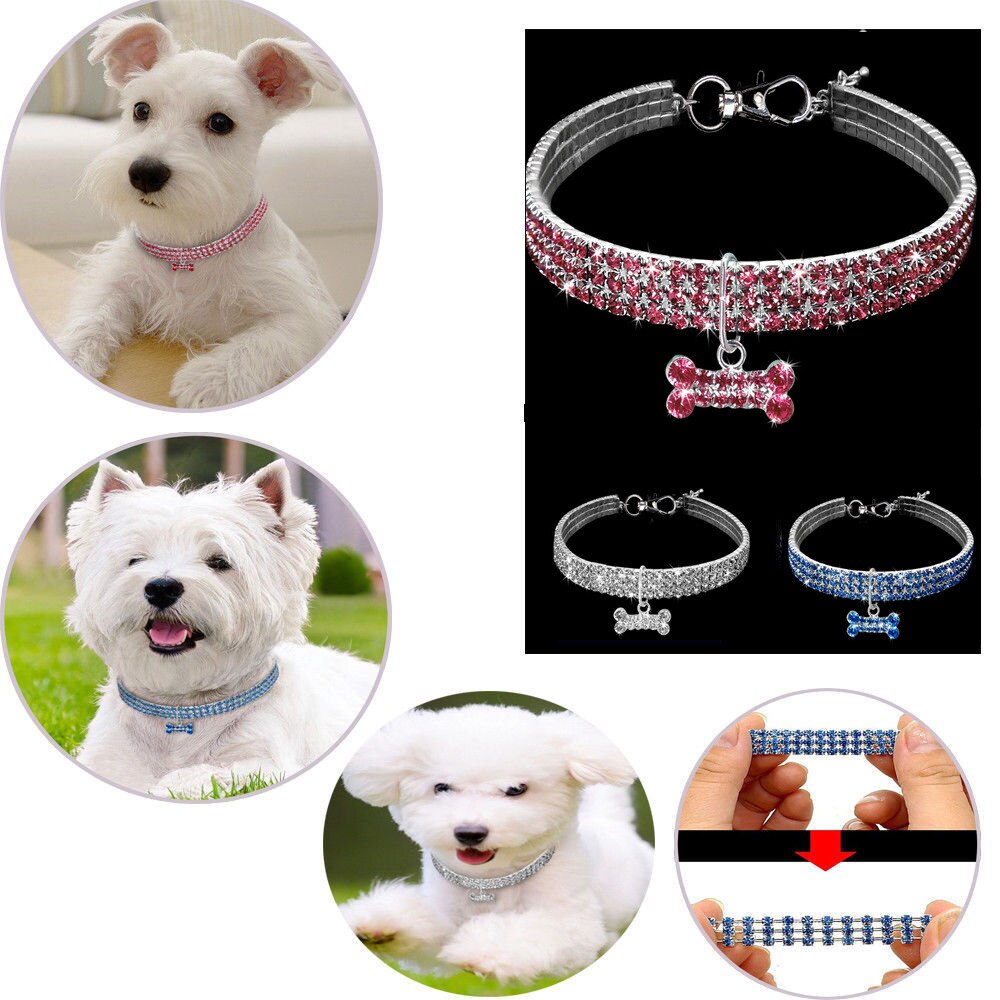 1 stk diamant kæledyr hundehalsbånd glitter skinnende justerbar ensfarvet rhinestone pet choker enkel hvalp