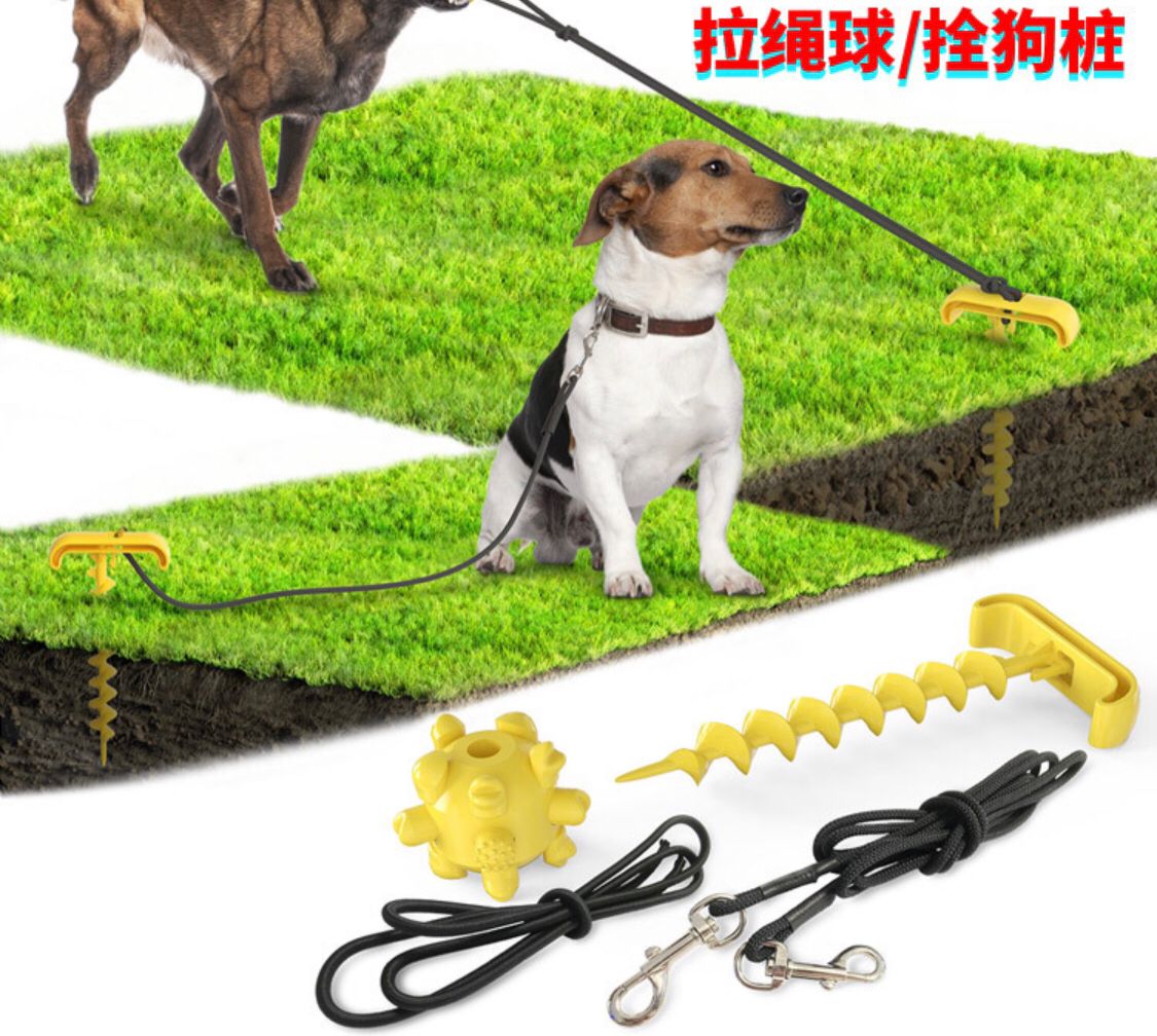 Outdoor dog ground peg dog walking dog tug of War dog toys