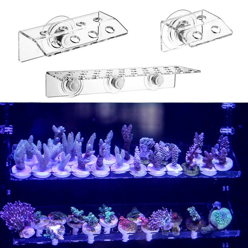 Koralbeslag .sps stik. akryl akvarium saltvand havvand sps koral frag huller beslag akvarium marine tank koral holder