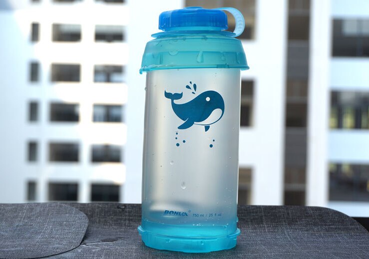 750ml Collapsible Water Bottle Reusable Foldable Folding Lightweight Compact Camping Backpacking Hiking Outdoor Climbing Bottles: A2