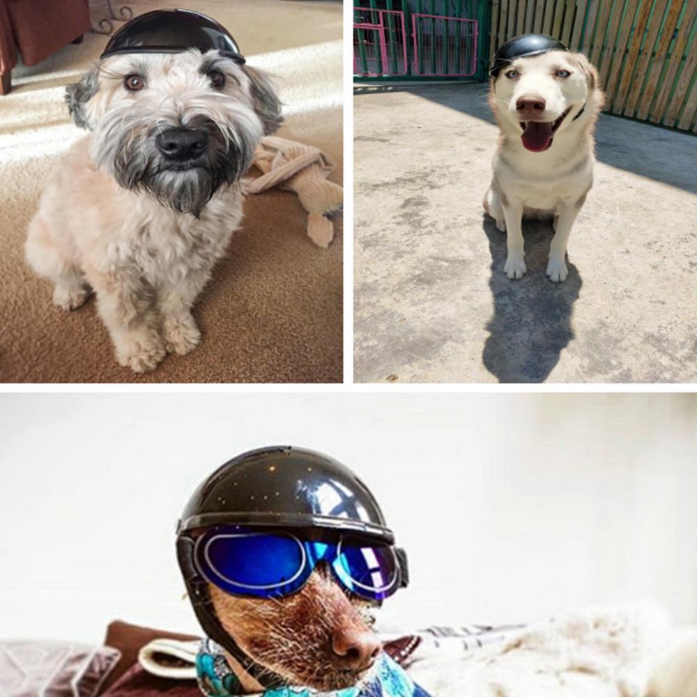 Pet Safety Caps Pet Dog Cat Motorcycle Safety Helmet Plastic Pet Riding Cap Protective Hat Headwear Dog Supplies