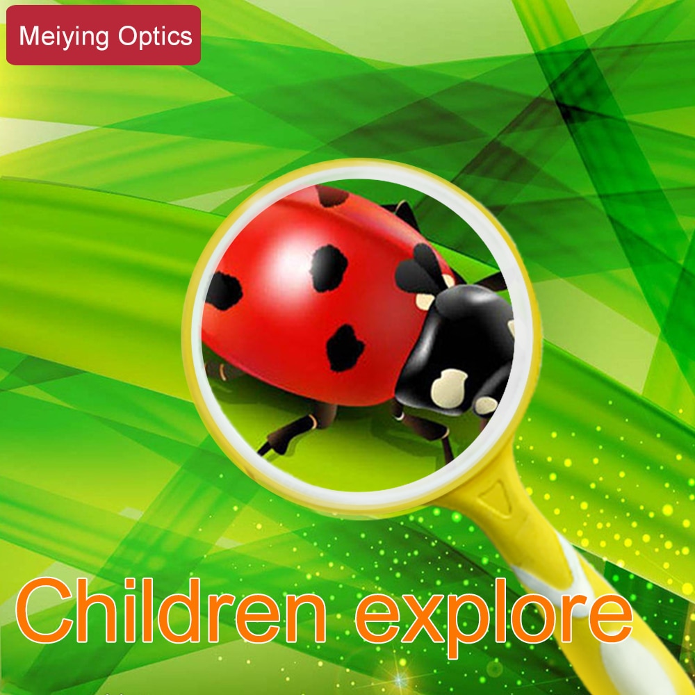 Portable 10X Magnifying Glass 50/65/75/100mm Handheld Magnifier Antique Mahogany Handle Magnifier For Reading Book