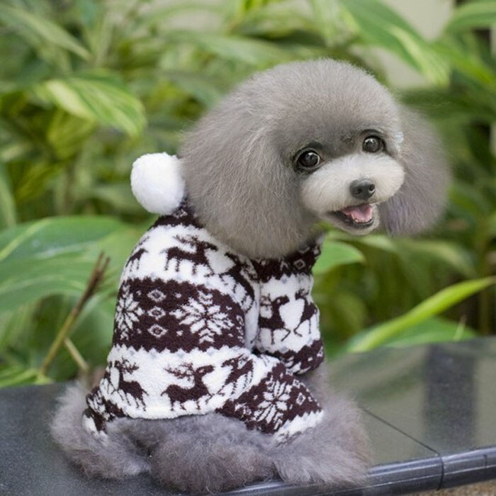 Transer-Sudadera con capucha para perro, ropa de perro mascota cálido, Mono para cachorro, abrigo con capucha, sudaderas con capucha para perros, ropa para perros 2019P30: P