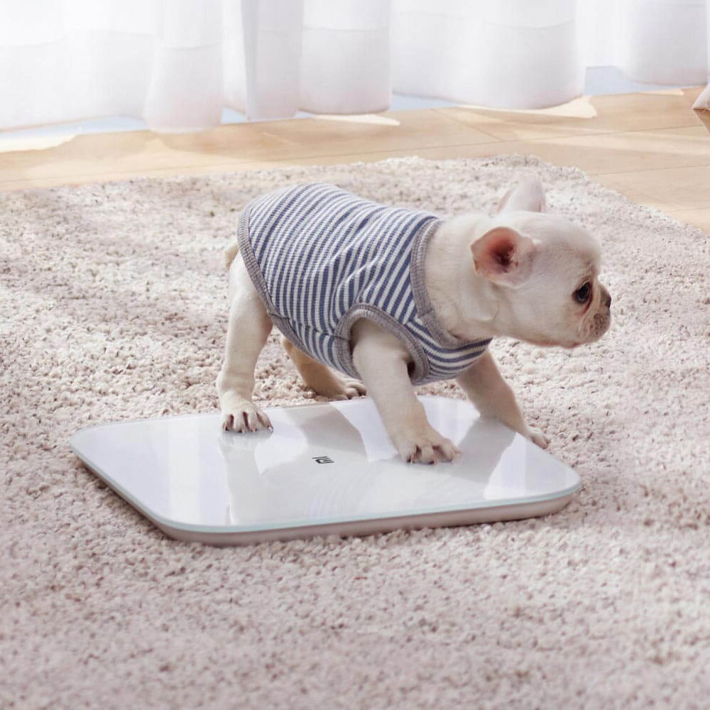 Xiaomi Mi Smart Scale 2 BT 5.0 Body Balance Test Body Composition Scale APP LED Display Digital Fitness Health Weighing Scales